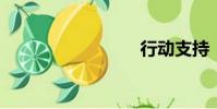 行動支持