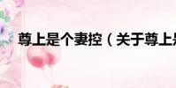 尊上是個妻控(關于尊上是個妻控簡介)