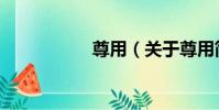 尊用(關于尊用簡介)
