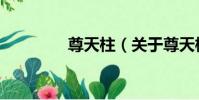 尊天柱(關于尊天柱簡介)