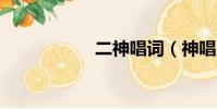 二神唱詞(神唱ktv)