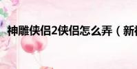 神雕俠侶2俠侶怎么弄(新神雕俠侶2存檔)