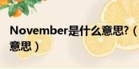 November是什么意思?(november是什么意思)