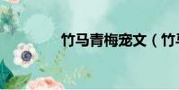竹馬青梅寵文(竹馬青梅)