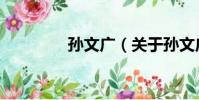 孫文廣(關于孫文廣介紹)
