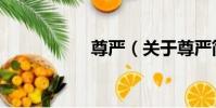 尊嚴(關于尊嚴簡介)