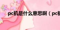 pc機是什么意思啊(pc機是什么意思)