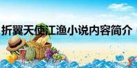 折翼天使江漁小說內容簡介(折翼天使 江漁)