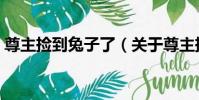 尊主撿到兔子了(關于尊主撿到兔子了簡介)