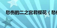 愁傷的二之宮君櫻花(愁傷的二之宮君)