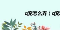 q寵怎么弄(q寵天使)
