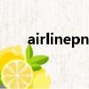 airlinepnr是什么意思（airlinepnr）