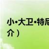 小·大衛·特尼爾斯（關于小·大衛·特尼爾斯簡介）