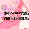 小q-Schur代數的表示和仿射量子群（關于小q-Schur代數的表示和仿射量子群簡介）