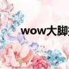 wow大腳插件設置教程（wow大腳）