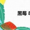 黑莓 8800（黑莓8800論壇）
