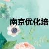 南京優化培訓機構電話（南京優化培訓）
