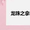 龍珠之拿帕免費閱讀（龍珠之拿帕）