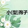 小[型]孢子囊（關于小[型]孢子囊簡介）