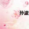 孫波濤（關于孫波濤介紹）