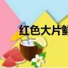 紅色大片鮮艷刺目的紅色（紅色大片）