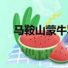 馬鞍山蒙牛乳業有限公司（馬鞍山蒙牛）