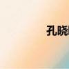 孔曉曦（關于孔曉曦介紹）