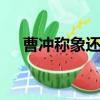 曹沖稱象還可以用什么辦法稱象,十個字