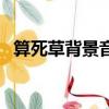 算死草背景音樂水姑娘（算死草背景音樂）