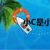 小C是小C（關于小C是小C簡介）