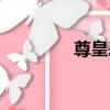 尊皇表（關于尊皇表簡介）