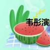 韋彤演的電影（周韋彤的電影）