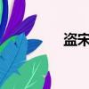 盜宋txt精校下載（盜宋）