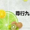 尊行九天（關于尊行九天簡介）