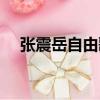 張震岳自由歌詞大意（張震岳自由歌詞）