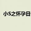 小S之懷孕日記（關于小S之懷孕日記簡介）