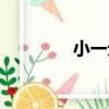 小一元（關于小一元簡介）