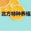 北方特種養殖項目招聘（北方特種養殖項目）