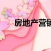 房地產營銷活動方案（地產營銷策劃）