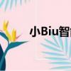 小Biu智能（關于小Biu智能簡介）