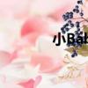 小Baby（關于小Baby簡介）