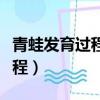 青蛙發育過程中運動器官的變化（青蛙發育過程）