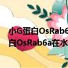 小G蛋白OsRab6a在水稻鐵營養中的功能研究（關于小G蛋白OsRab6a在水稻鐵營養中的功能研究簡介）