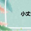 小丈夫（關于小丈夫簡介）