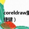 coreldraw里復制快捷鍵（coreldraw復制快捷鍵）