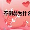 不倒翁為什么不會倒（不倒翁為什么不倒）