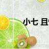 小七 且慢（關于小七 且慢簡介）