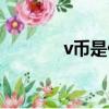 v幣是什么平臺（v幣是什么）