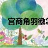 宮商角羽徽怎么念c（宮商角羽徽怎么念）