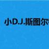 小D.J.斯圖爾特（關于小D.J.斯圖爾特簡介）